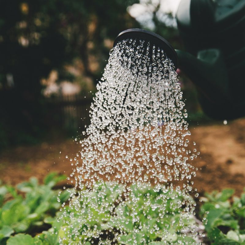Hoses & Watering Equipment
