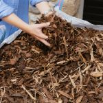 Bark chippings