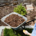 bark chippings near me