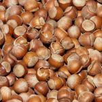 Premium charcoal made from hazelnut husks