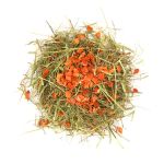 hay food for rabbits