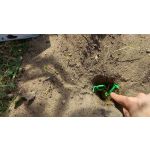 Natural Mole Repellent