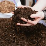 spent mushroom compost for gardens
