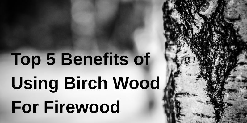 Birch Wood - Top 5 benefits as a firewood